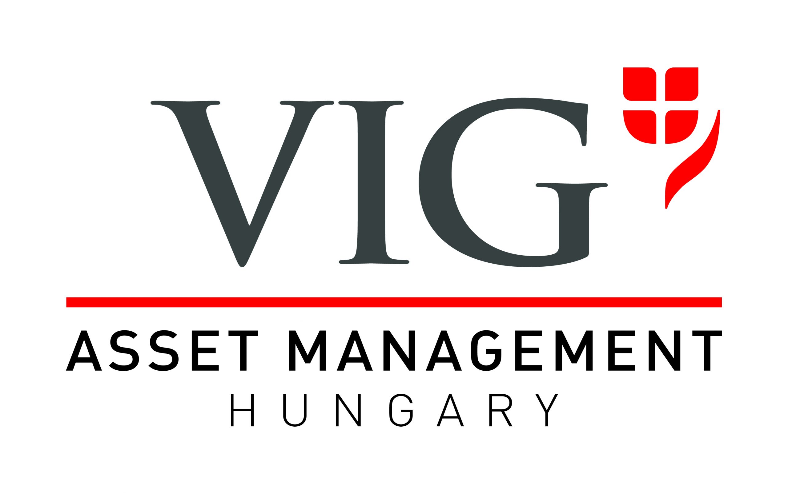 VIG Asset Management